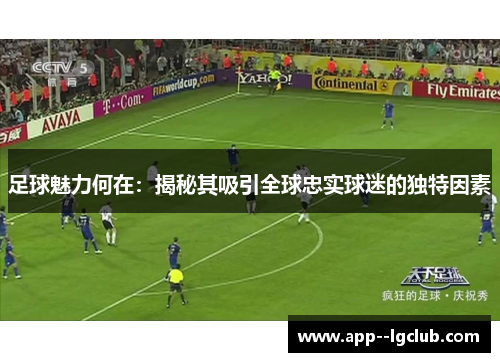 足球魅力何在：揭秘其吸引全球忠实球迷的独特因素